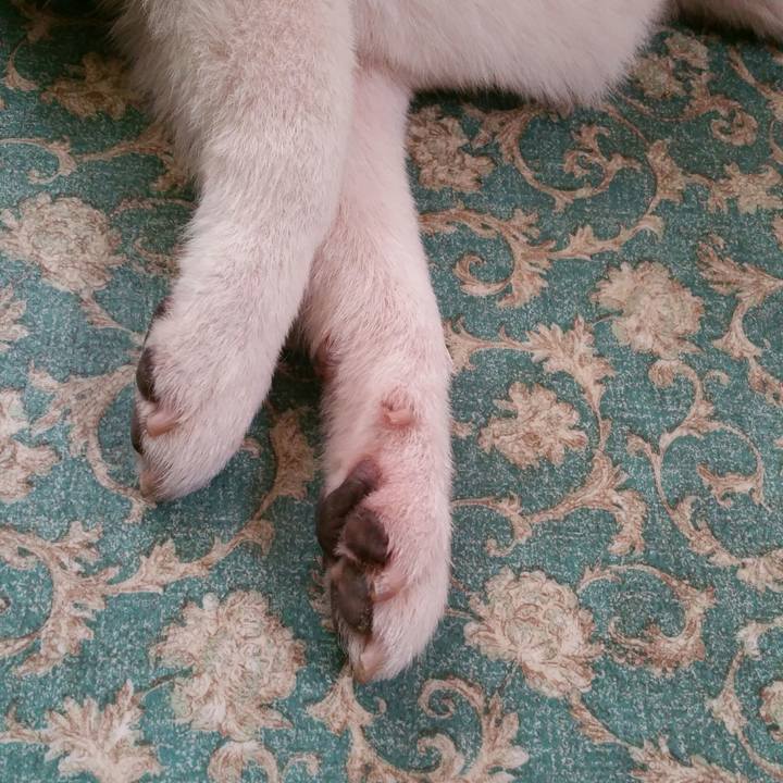 980c0795 371a 4ca5 8f07 343c280d16a8