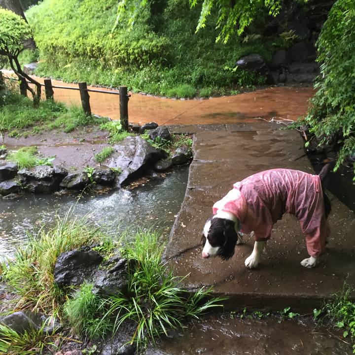 980c38d6 3385 48ae b437 708116175c2d