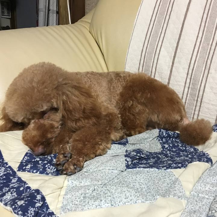 980d0cf5 fd4e 4215 b2df bc0989965e44