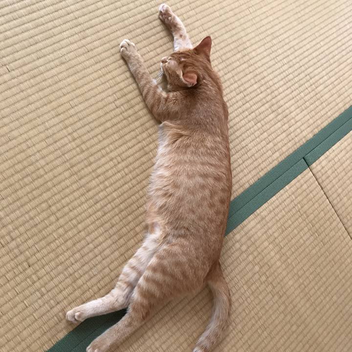 980d82d9 f96f 4acd 9476 db344a371b85