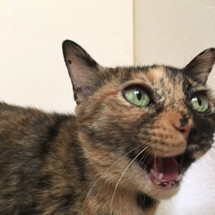 980d87bb c607 477d b5be b6db9964178f