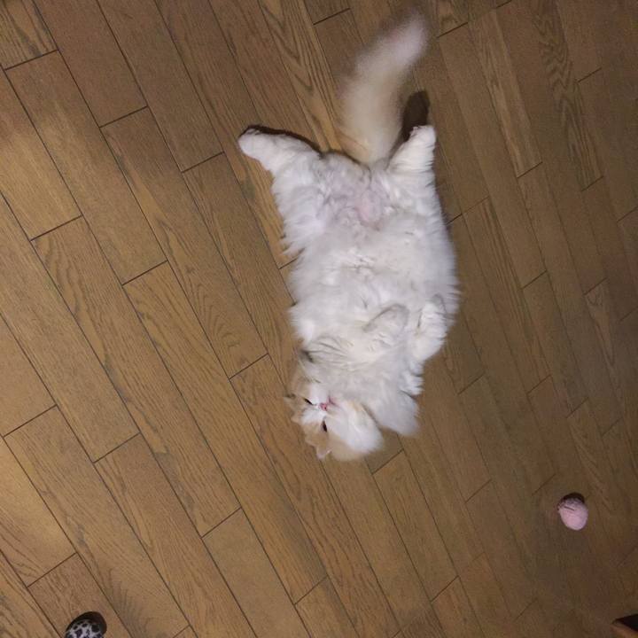 980ddb22 f5b5 42d9 851f 67d2ef302775