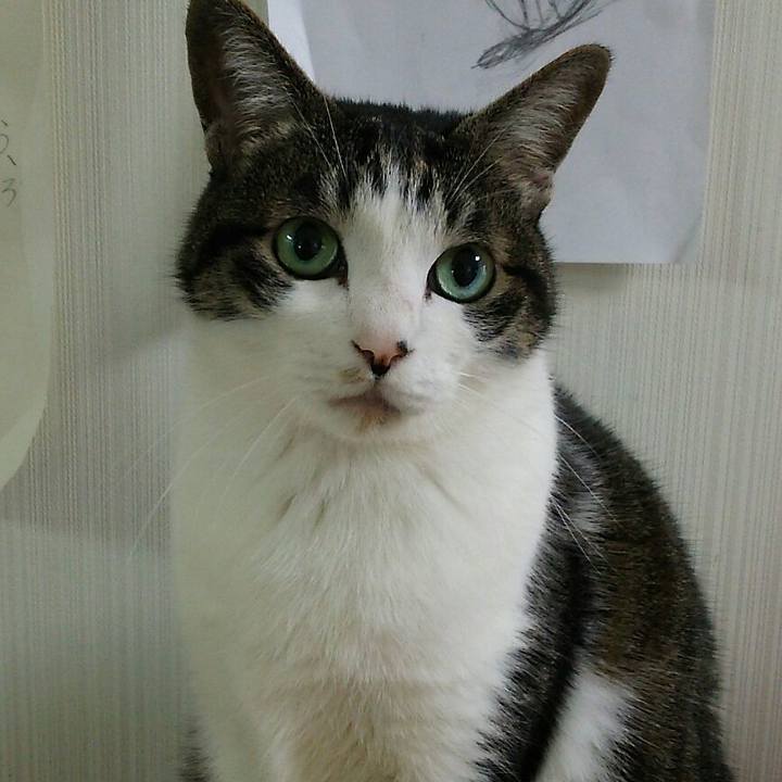 980e6e1a 8c3c 44c4 b55a cb2b72cbf794