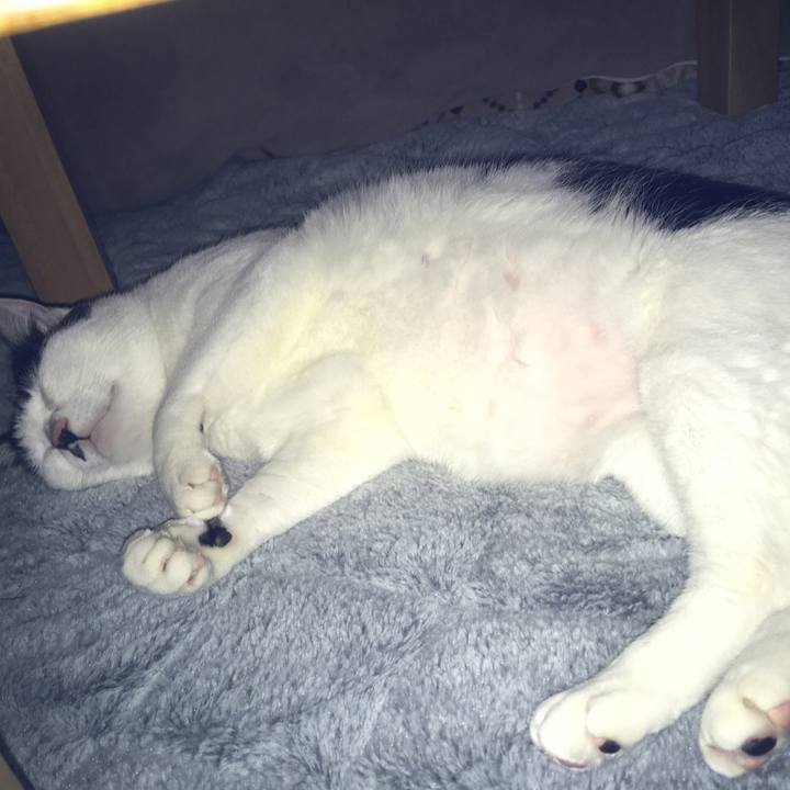 980e9faa 1205 491f aaaa f4245cf205e0