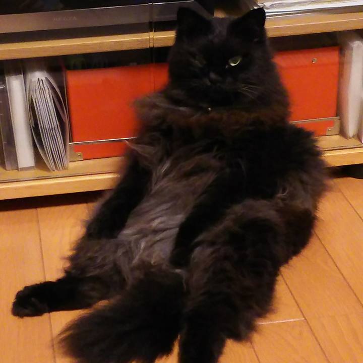 980ea69f c266 4d5a a4b7 0bb6e04e9067