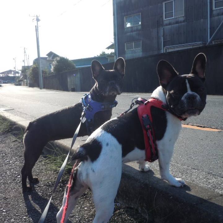 980ec449 3fad 4bf4 bb6a 7cd69fb145b2