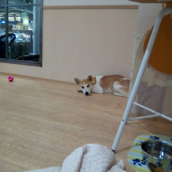 980ed5f0 f85c 48d4 a281 bef982e52698