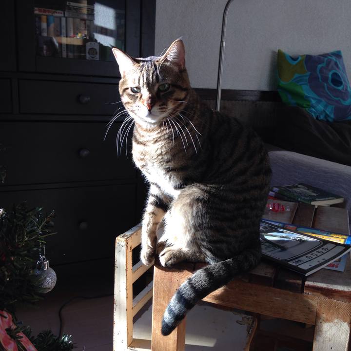 980f1a28 b468 4493 987f 23f4c22811ae