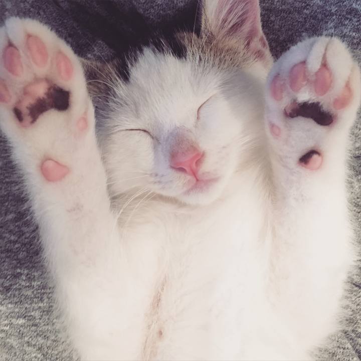 980f53d8 5d8a 4d71 a959 a324ba06d993