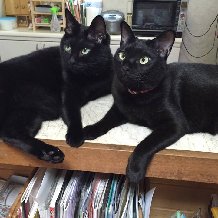 980f7e3e 30b7 4919 bdfb cb765b568b22