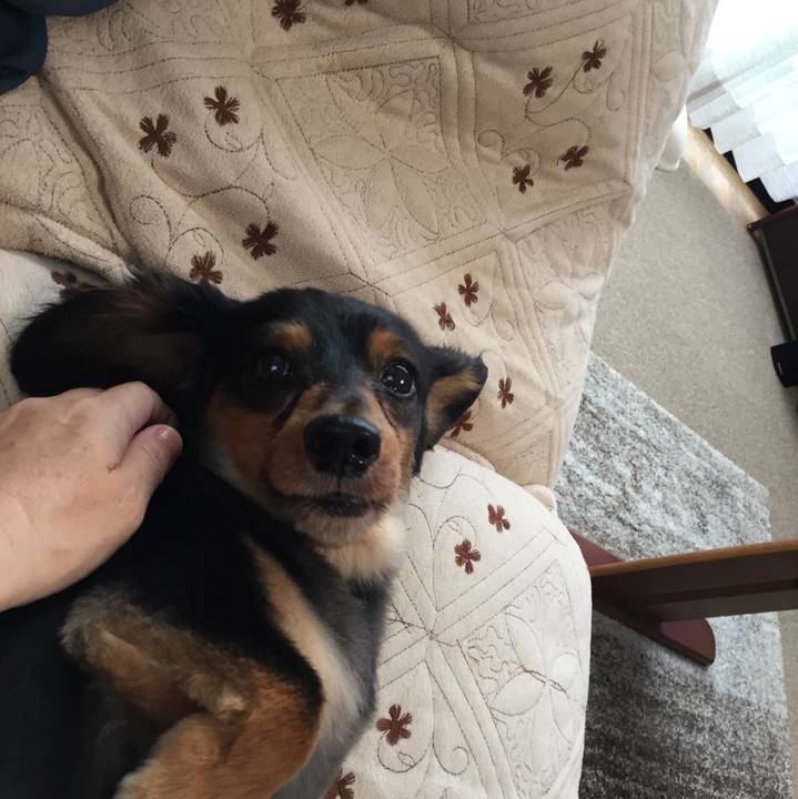 980fac9b d6ff 4efe bfa1 265b76b6837b