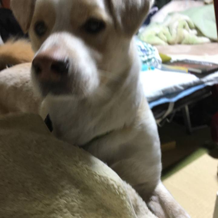 980fbcbc 8e1c 4efa 847e 58c01186453f