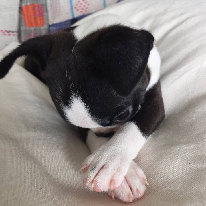 98101fba f9cb 4500 8be6 90e3c6e0737b