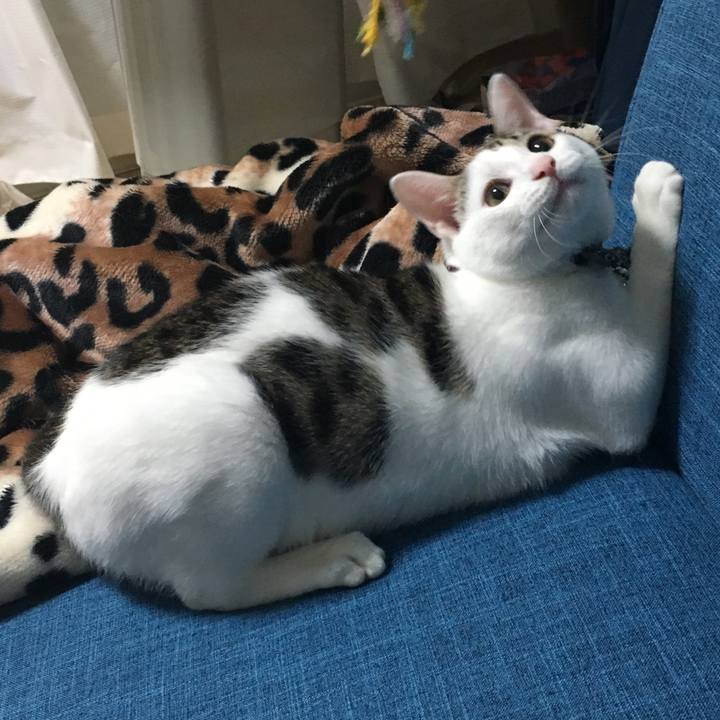 98106fb7 cf80 4ae6 a616 e89e5a52fba7