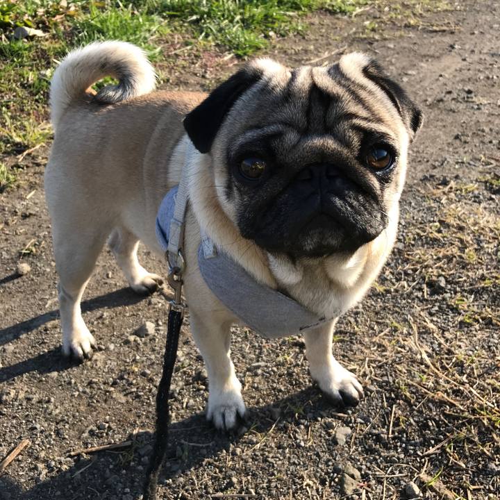 9810b890 d28c 48de ae65 64d5e7f40f90