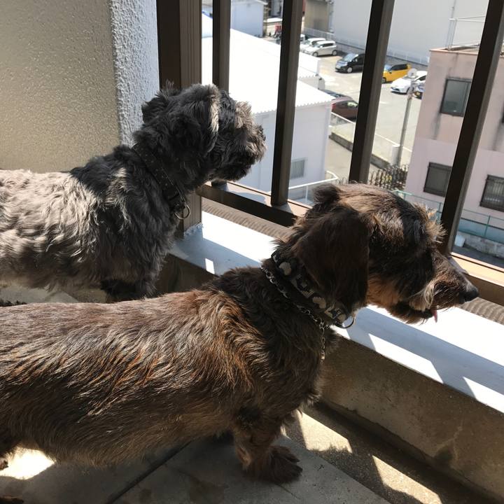 9810ded7 7e94 4308 bf9c 1512f6a9f7ea