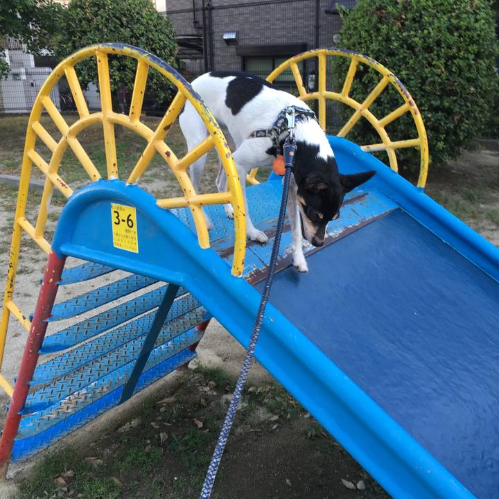 9810df49 47bb 445f 9422 753d09d82437