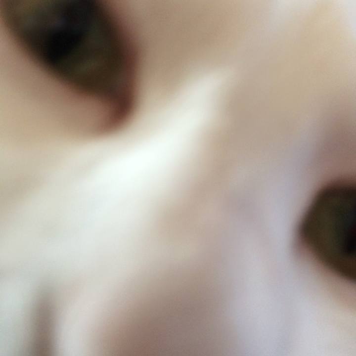 98116d5a 055d 4318 8c8c 17875e441ed9