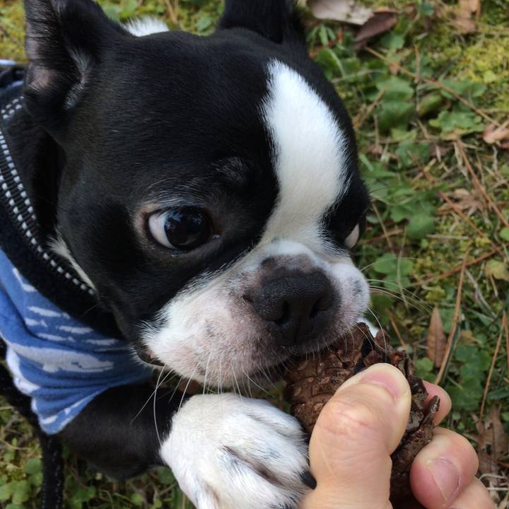 981214d2 b5c7 4020 9e6a 890dcfe31a97