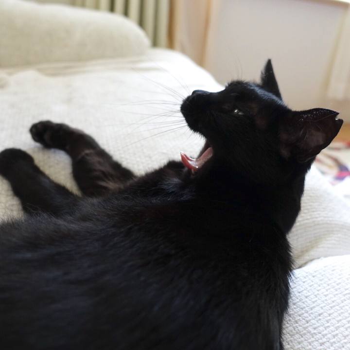 981240eb 3fcc 491c 91ca f8bee5ccad49