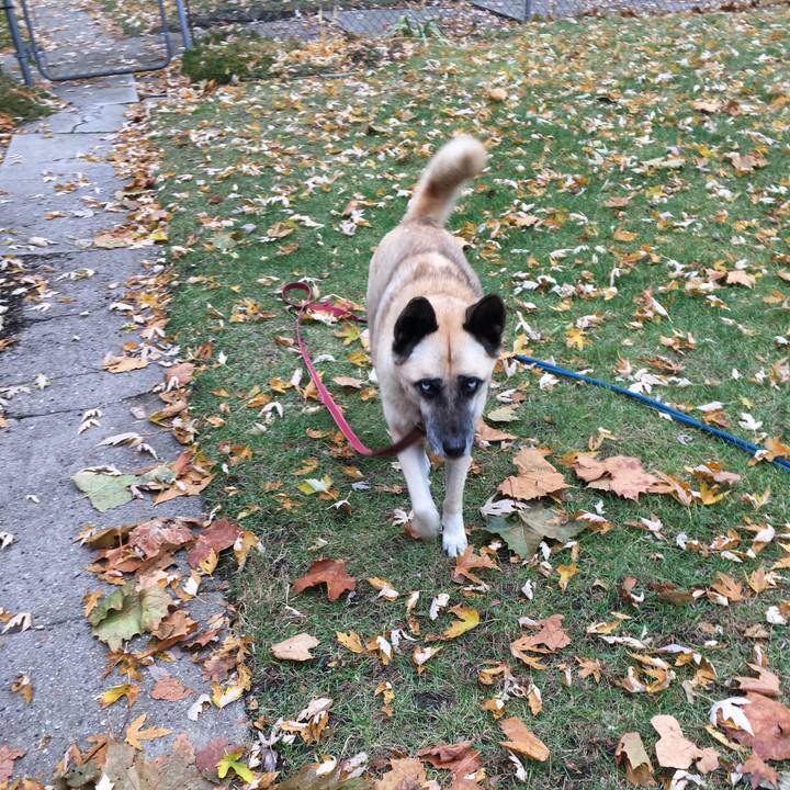 9812436a 260d 4972 b132 c07d692d743e