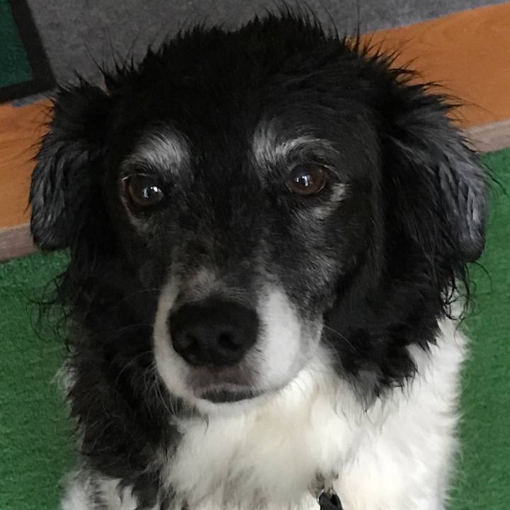 9812a0c3 7715 43cf b5c0 cf3c5e12f857