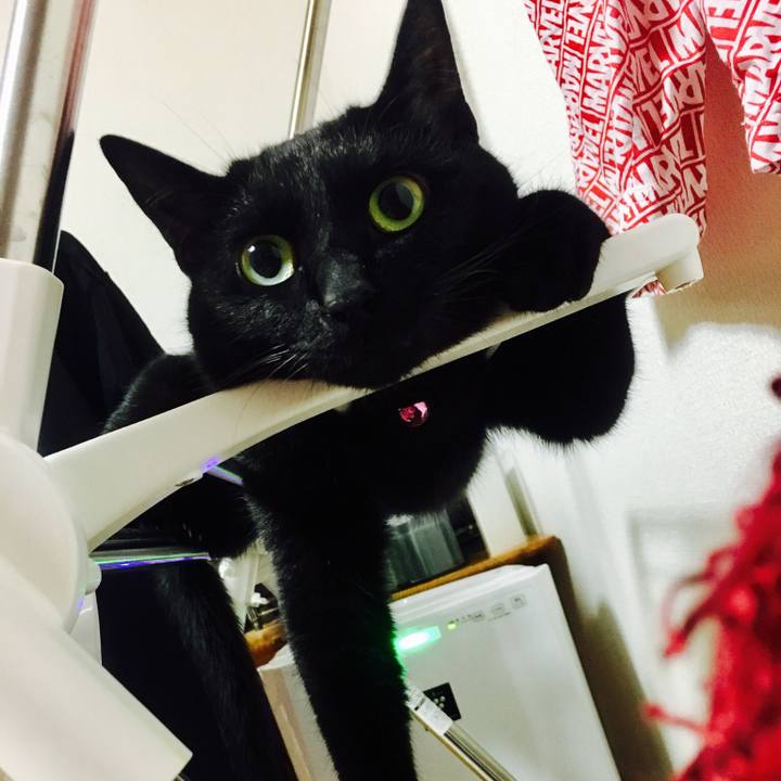 9812d194 b97d 4c5c a85b bf0687851043