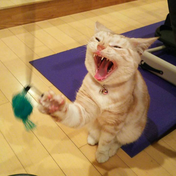 9812fca0 934e 4265 b858 35ba72586e53