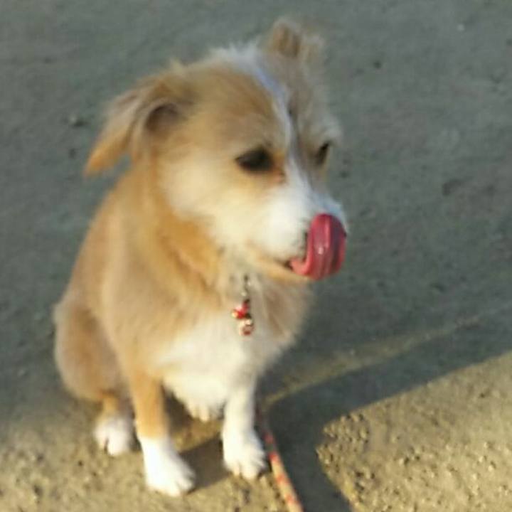 98130488 63a1 4857 b6fd 6c210aae4e9f