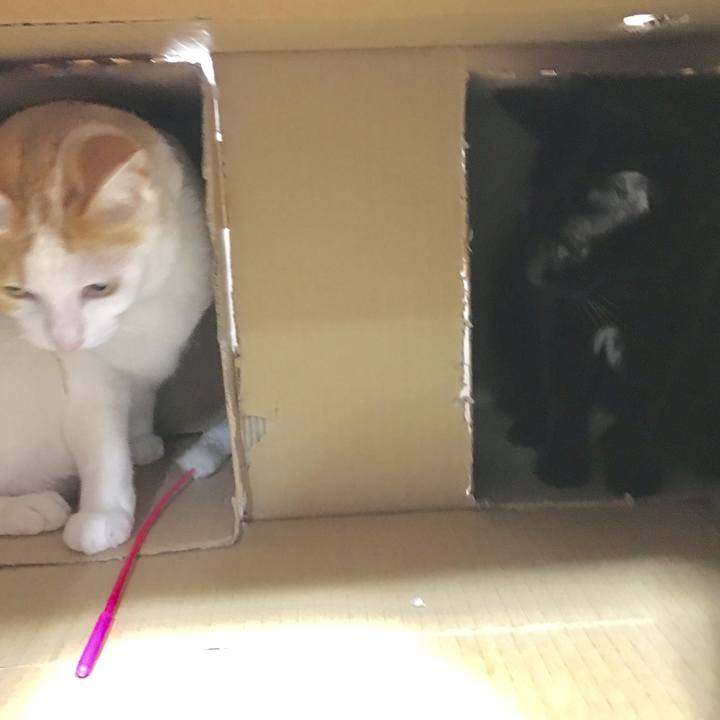 98138461 f2f7 4b12 a029 a1c5c31f164c