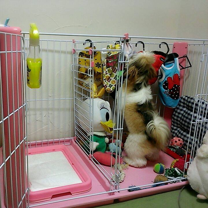 9813d7f5 25ae 49d4 9723 b6b8d2f56f08