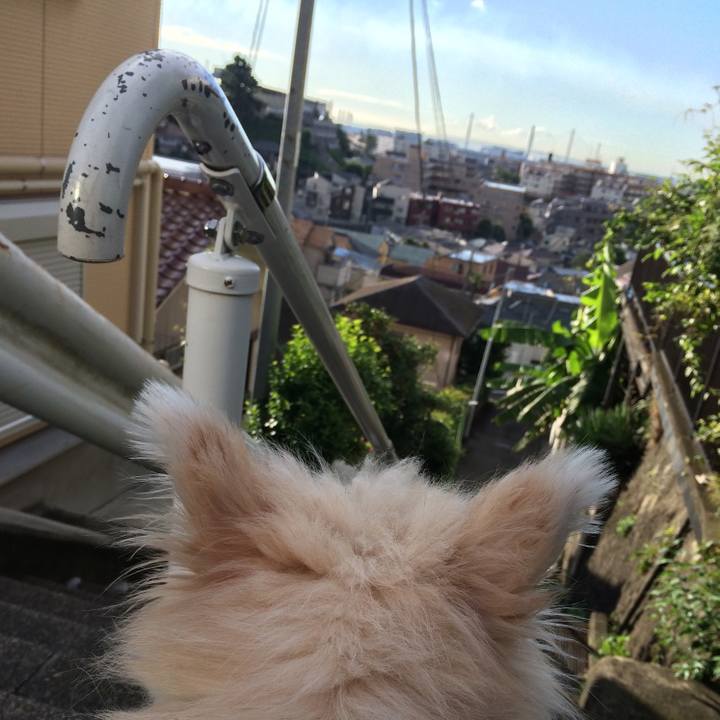 98144d8c 674e 45a8 83d8 a21ef777182f