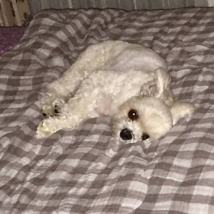 98149169 c0e4 4531 873f a674e3af5ae6