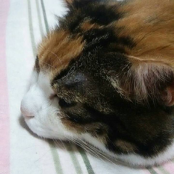 98154605 b6a2 41ea 8835 91f4a3538884