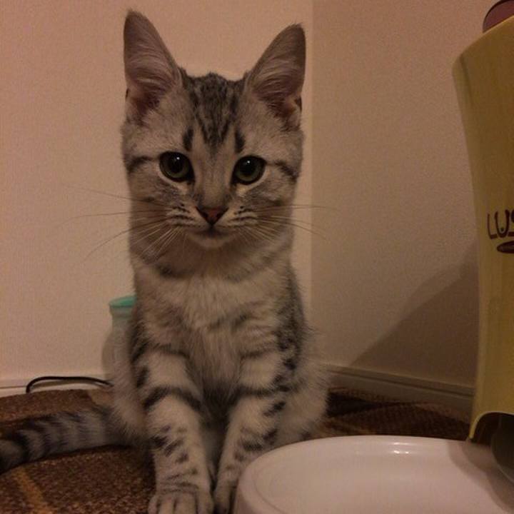 9815c00b b250 461c bad5 c1e8dad5ac72