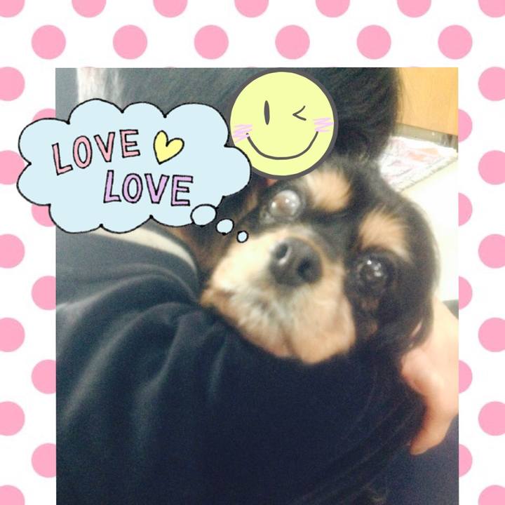 98160cbd 3e01 4475 909f 0653afb3961e