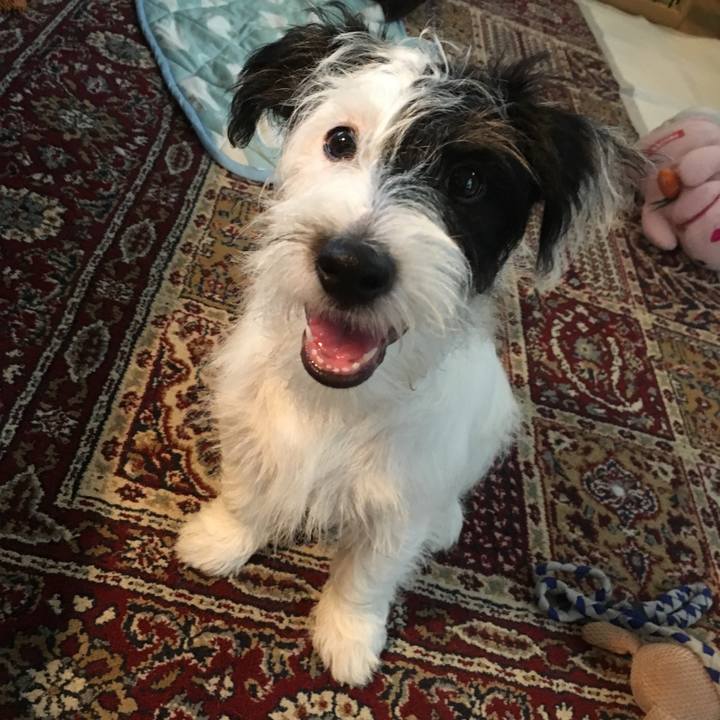 9816314f ce89 45d2 9d3d 3e168a7d750c