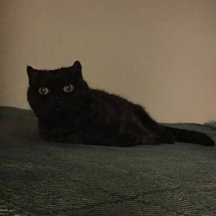 9816722f 5946 4295 98db d16decc6e829