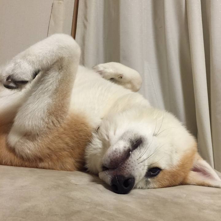 9816fb01 66eb 43b6 bb36 8edd36eb989c