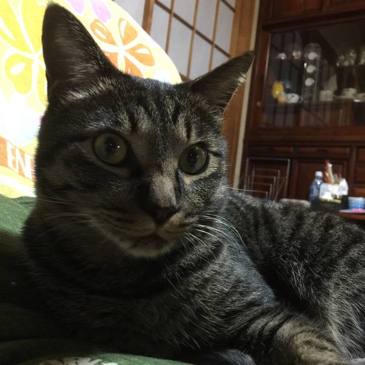 98173687 988e 42a4 a05e b86fdfc74f48