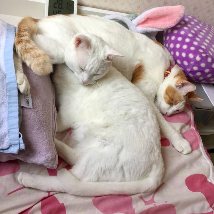 98177408 55a6 45e2 973d 47b6b4699ebb