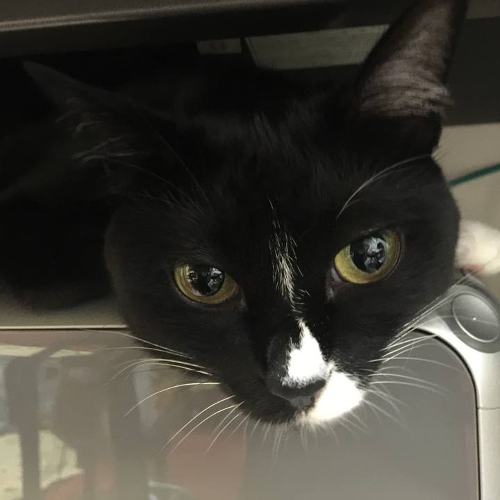 981781d8 714e 4058 a14e f70e47c6dc96