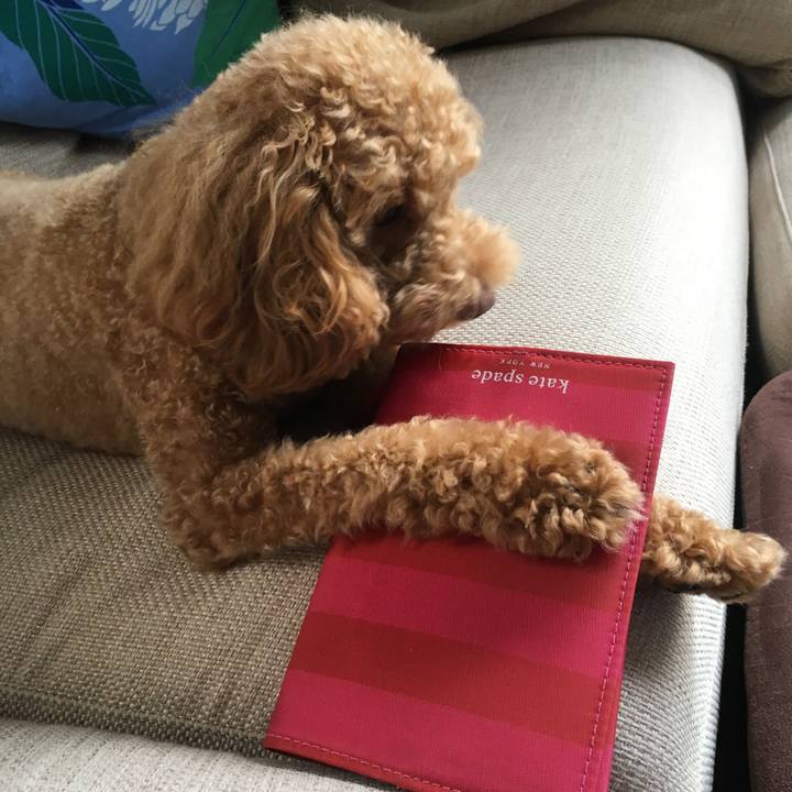 98179a74 64a0 48f6 86a8 e99bbc62493b