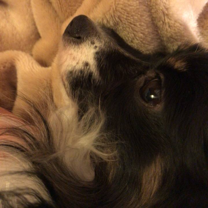 9817b997 f751 4a64 bbda 6ca931372ecc