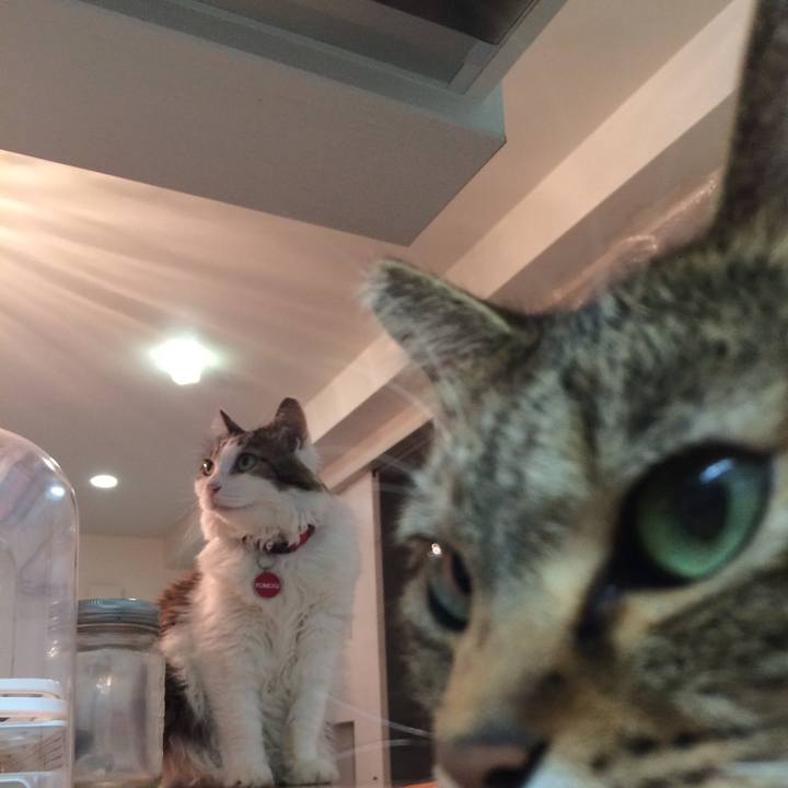 9817ce17 5a79 4a4f bf6d 9ef55de7fb06