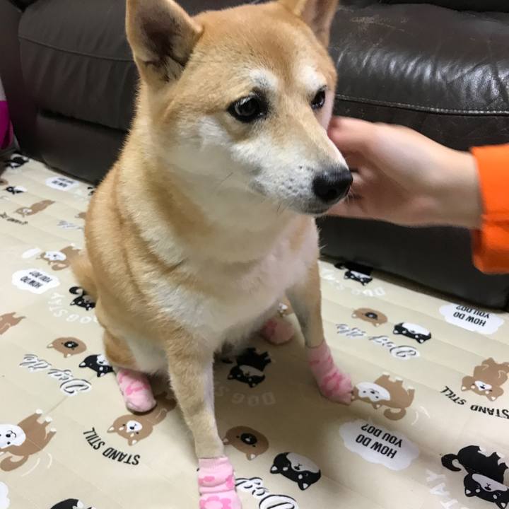 98184077 dd8d 409c bfbd 62d8455820d3