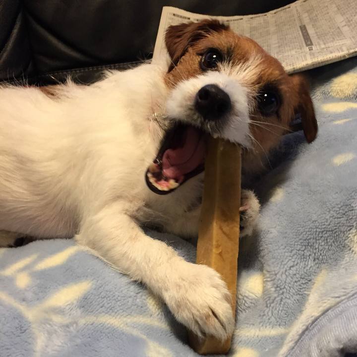 9818705f 907c 4d99 a584 41f67d6adff3