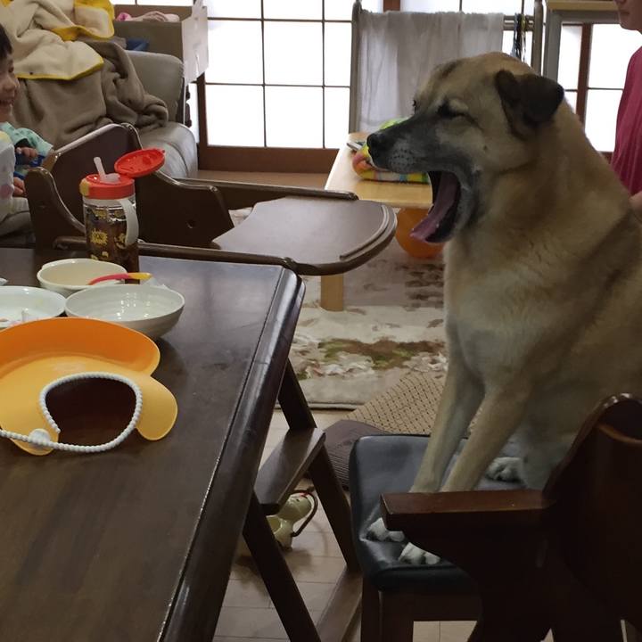 9818ad33 a6b4 4162 963d bcd2bf915c2f