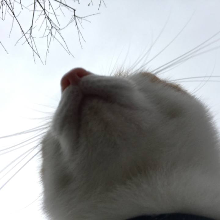 9818e8d2 8270 4c99 8e63 e8e9512a4690