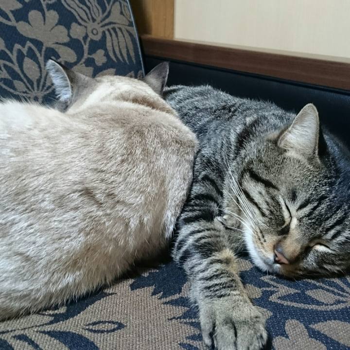 981937c8 5ffc 4c71 a737 bec6d25ae42f